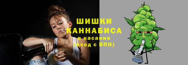 молекула духа Лагань