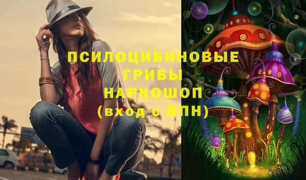 PSILOCYBIN Костерёво