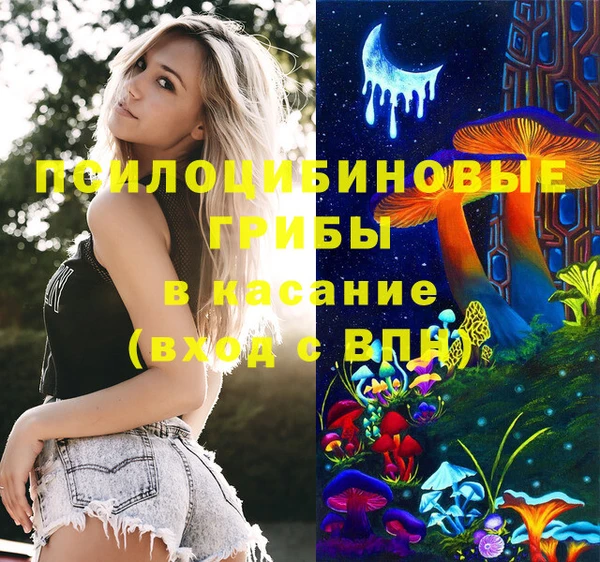 PSILOCYBIN Костерёво