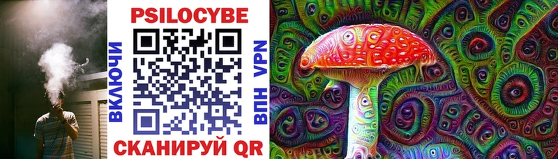 закладки Павловская Галлюциногенные грибы Psilocybine cubensis